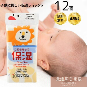 ͖쐻 qǂĕێy[p[ |PbgeBbVi~jTCY6pbNj ×12Zbg yj̎q/̎q/v[g/ii/~j LN^[/|PbgeBbV/q/nz