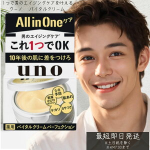 【ウーノ(uno)】 バイタルクリーム パーフェクションa 90g フェースケア ファイントゥデイ 男のエイジングケア オールインワン クリーム