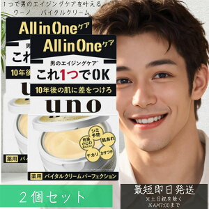 【ウーノ(uno)】 バイタルクリーム パーフェクションa 90g 2個セット フェースケア ファイントゥデイ 男のエイジングケア オールインワン クリーム