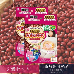 小林製薬 あずきのチカラ おなか用(2個セット)【あずきのチカラ】 あずき カイロ おなか お腹 腹部 冷え対策 リラックス 蒸気 天然蒸気 温熱 小豆 電子レンジ 温め