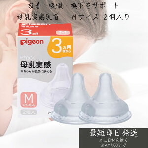 sW   3^MTCYiX[Jbgj2 pigeon  xr[ Ԃ Mт ٓт ٓr Mr  ~N xr[p xr[pi xr[ObY