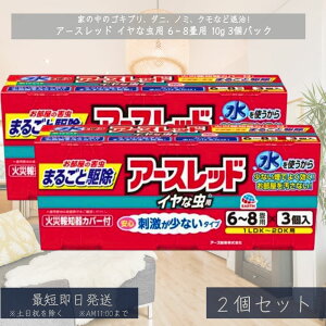 A[Xbh CȒp 6~8p 3pbN ×2Zbg  Q 쏜 E  Ȓ Q쏜   ߂ S JcIuVV Jf N A yA[Xz