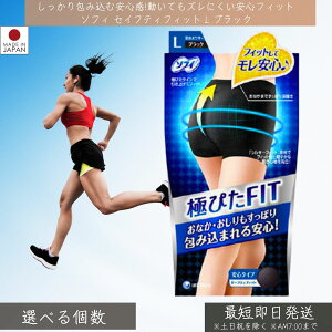 jE`[@\tB ɂ҂FIT ZCteBtBbg ubN LTCY 1  V[c Tj^[ {NT[ HΉ tBbg y  F   A_[EFA