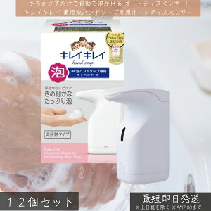 CI LCLC pAnh\[vpI[gfBXyT? { nh\[vlߑւp ×12Zbg  nh\[v fBXyT[ A I[g\[vfBXyT[ VgXt