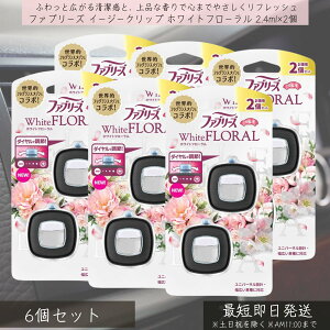 P&G yt@u[Yz C[W[Nbv zCgt[ 2.4ml×2 6Zbg | febreze LF ԗp J[pi ԓL F Nbv ȒPt tOX K L GA