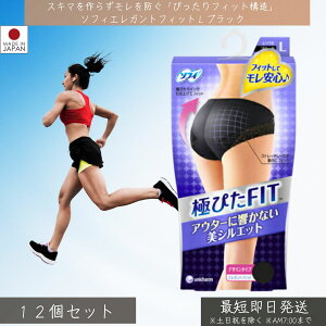 jE`[@\tB ɂ҂FIT GKgtBbg ubN LTCY 1×12Zbg  V[c Tj^[ {NT[ HΉ tBbg y  F  A_[EFA