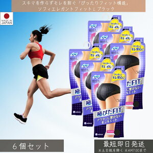 jE`[@\tB ɂ҂FIT GKgtBbg ubN LTCY 1×6Zbg  V[c Tj^[ {NT[ HΉ tBbg y  F  A_[EFA