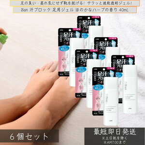 Ban ubN pWF ق̂ȃn[u̍ 40mL ×6Zbg  WF ̏L ΍ ̏L L L q fIhg  j  ̗ 