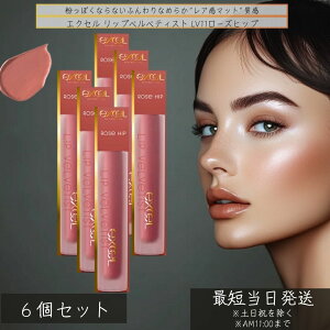 excel GNZ bvxxeBXg LV11[Yqbv 2.5g ×6Zbg g bvOX _[N[ F ɂ ێ etz A}bg {