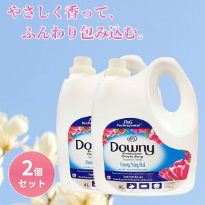 LVR_Ej[ TCYtbV 4L 2Zbg Zk^Cv _ _Ej[ downy e {   {g h[ t̏_܁@xgi_Ej[ AWA_Ej[
