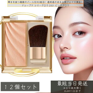 excel GNZ h[vh V}[OE DS01 sNOE ×12Zbg x[XCN pT ɂ pE_[ i` }bg t@f[V ωn tFCXpE_[