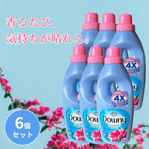 LVR_Ej[ TCYtbV 900ml 6Zbg Zk^Cv _ _Ej[ downy e {   {g h[ t̏_܁@xgi_Ej[ AWA_Ej[
