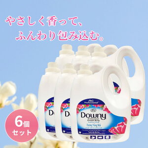 LVR_Ej[ TCYtbV 4L 6Zbg Zk^Cv _ _Ej[ downy e {   {g h[ t̏_܁@xgi_Ej[ AWA_Ej[