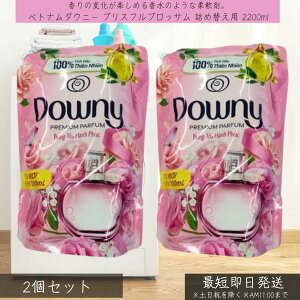 xgi_Ej[ uXtubT lߑւp 2500ml ×2Zbg  P&G Downy _Ej[ _ lߑւ l tB e ߗޗp 莝 ؂₩ȍ CO_ AWA_Ej