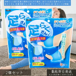 ケンユー 足らくさん 足裏冷却ジェル袋 フリーサイズ AR2A-48 1足セット(2個組) ×2個セット │ 足足冷却 フットケア 冷感グッズ 熱中症対策 むくみ解消 疲労回復 リフレッシュ 旅行 冷却グッ