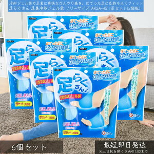 ケンユー 足らくさん 足裏冷却ジェル袋 フリーサイズ AR2A-48 1足セット(2個組) ×6個セット │ 足冷却 フットケア 冷感グッズ 熱中症対策 むくみ解消 疲労回復 リフレッシュ 旅行 冷却グッズ