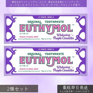 Xet@j[ [V[@zCgp[v@s[`t[~g̍ ×2Zbg  EUTHYMOL  zCgjO F XeCPA Lh~ E ̎