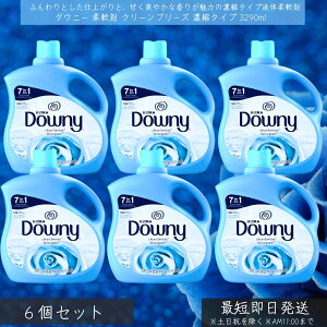_Ej[ Lbh Nu[Y 111oz 3290ml 6Zbg@t̏_ Zk^Cv _Ej[ downy e {   {g h[ t