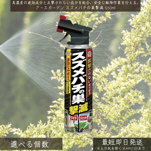 A[XK[f XYo`̑ 550ml  A[X XYo`쏜 n`쏜 쏜 I E Xv[ n`΍ Op   ͕  vp AViKo` ~co` Q