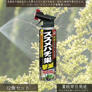 A[XK[f XYo`̑ 550ml ×12Zbg  A[X XYo`쏜 n`쏜 쏜 I E Xv[ n`΍ Op   ͕  vp AViKo` ~