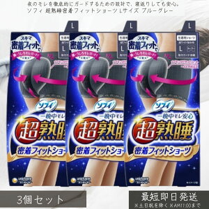 ユニ・チャーム ソフィ 超熟睡 密着フィットショーツ Lサイズ ブルーグレー ×3個セット │ unicharm 生理用ショーツ ナイトショーツ 生理用品 サニタリーショーツ ナプキン一体型 モレ安心