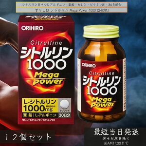 Iq Vg Mega Power 1000 ×12Zbg  Tvg AMjz  Z r^~B1 B6 jT|[g ̗ Nێ p[Tv 1000mg