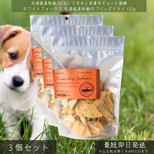 zCgtHbNX kCYH t[YhC XCX 120g ×3Zbg  p Lp Y ^pN ᎉb DHA EPA AX^LT` ybgpt[h ᎉb