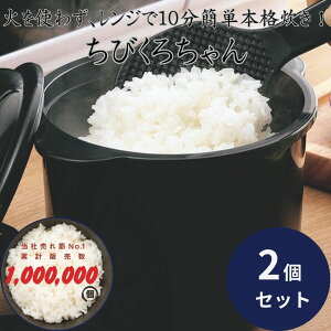 dqWъ 2 Y肿т낿 ×2Zbg  4972940554379 Wpъ Yz Wt у[J[ ȒPъ l炵p 0.5`2Ή