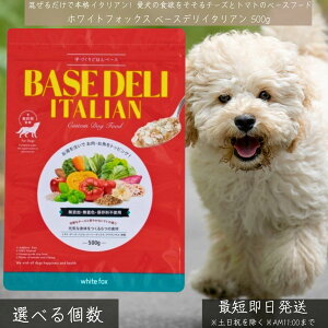 zCgtHbNX x[Xf C^A 500g  p 育͂ Y Y x[Xt[h gbsO  `[Y oW BASE DELI NǗ hbOEFbgt[h