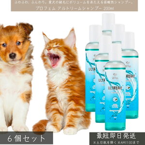 vtF Ag[Vv[ 200ml ×6Zbg   L ybgp Vv[ {[Abv h _ { ێ  O[~O g~Opi