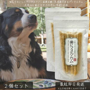 VR365 Ƀ}kJ̃K  20{ ×2Zbg  { pf^K YYgp j[W[hY}kJnj[z C  PA  ނ