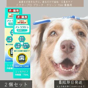 hN^[v v[NEN[ 75ml ×2Zbg  Ɩp  L f^PA WF C L L F { ybgp  a\h
