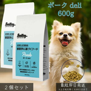 |[Nf 600g ×2Zbg  Y hbOt[h Y  btďC FK-23_ GI mICR[eBO ؓ pt[h  VjA ̌^ێ 畆 