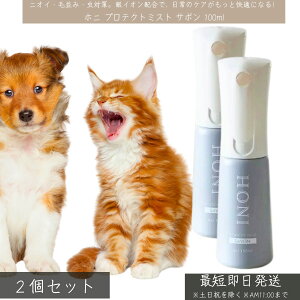veNg~Xg T{ 100ml ×2Zbg  Lp CIz  L ێ ubVOXv[ 悯 UOɂg { ybgpPA~Xg