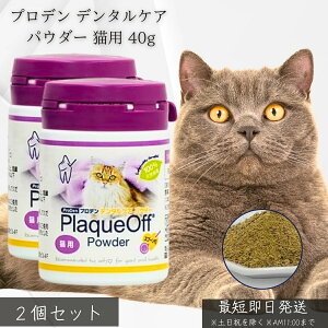 vf f^PA pE_[ Lp 40g ×2Zbg VOHCF bt Y VRC L C  y t[hɂ邾 ȒP I[PA VjAL 
