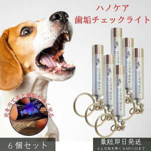 nmPA `FbNCg ×6Zbg   L ybgp f^PA C`FbN c h~ L a ΍ PApi LEDCg  y RpNg ybgpi