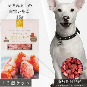 M݂邭̔Ⴂ 15g ×12Zbg p t[YhC  M~N Y F v~A XC[c gbsO ^ VjA J [OgAW N