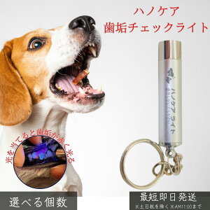 nmPA `FbNCg   L ybgp f^PA C`FbN c h~ L a ΍ PApi LEDCg  y RpNg ybgpi