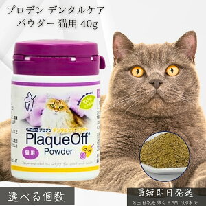 vf f^PA pE_[ Lp 40g VOHCF bt Y VRC L C  y t[hɂ邾 ȒP I[PA VjAL  LpTv