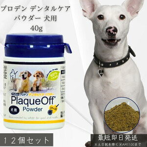 vf f^PApE_[ p 40g ×12Zbg VOHCF bt  C LPA VRC Y OCt[ f^pE_[ Tv  f^Tv