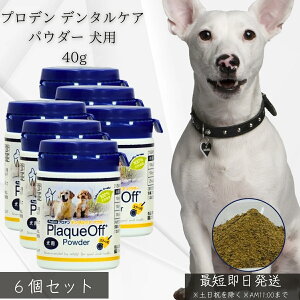 vf f^PApE_[ p 40g ×6Zbg  VOHCF bt  C LPA VRC Y OCt[ f^pE_[ Tv  f^Tv