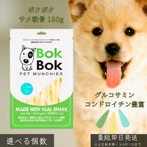 {N{N T 150g  p Y F ֐߃PA ORT~ RhC`   畆 Nێ ^pN ᎉb J[ c VjA f^PA