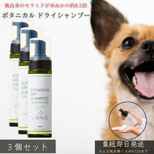 {^jJ hCVv[ s[`Z~hz ×3Zbg  p Lp AVv[ ̂Ȃ 􂢗sv h mVR { ێ oA ̍ ybg VjA