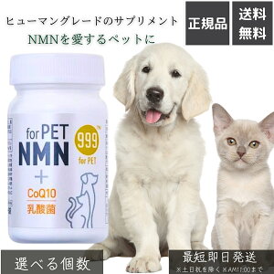 999 for PET NMN 60  ybgp Tvg Lp A`GCWO Vh~ RGUCQ10 }`_ ̋@\T|[g Ɖu͌ o[