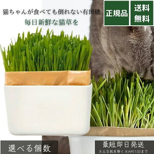 L͔|Lbg ɂxW ZbgN Lc t  tB2pbNt Lp ыʃPA i ͔| ysgp ȒP͔| CeA |ɂ ȔLLbg