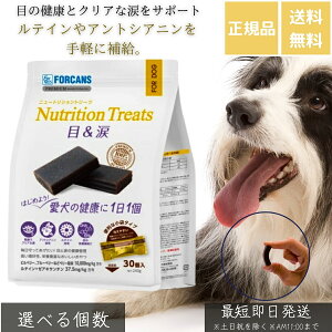 j[gVg[c ځ 240g  p Tvg eC [ALT` AgVAj DHA EPA r^~A ڂ̌N ܂₯ ܃PA ܃^Cv 11 h{⋋