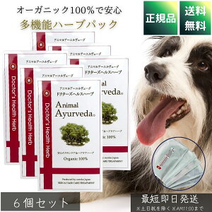 Aj}A[F[_ hN^[YwXn[upbN 150g ×6Zbg  p Ɩp ^3`5 I[KjbN100 畆PA L΍ E L Č ybgp {