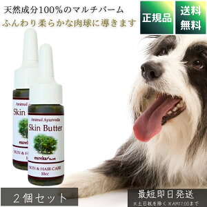 Aj}A[F[_ hN^[YXLo^[ 10cc ×2Zbg  p Lp Ɩp Rh ێN[ PA PA 畆gu΍ r߂ĂS i`PA