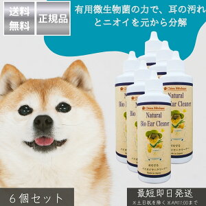 oCIC[N[i[ 100ml ×6Zbg  {  L PApi t | Lpz eB[c[ICz SC[N[i[ L  O\h Ȗ_sv