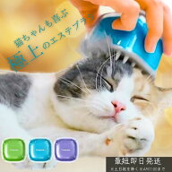 キャンディ ブラシ 猫用 グルーミングブラシ │ マッサージ シリコン製 水洗い可 ペットブラシ 抜け毛ケ…